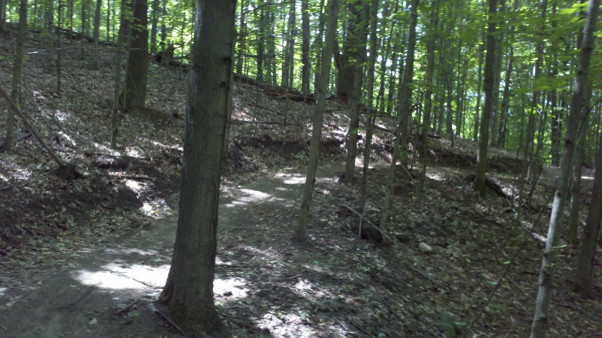A winding dirt path through a dense forest, bordered by tall trees and a carpet of fallen leaves, with sunlight filtering through the canopy. Glacial Hills mountain bike trail.