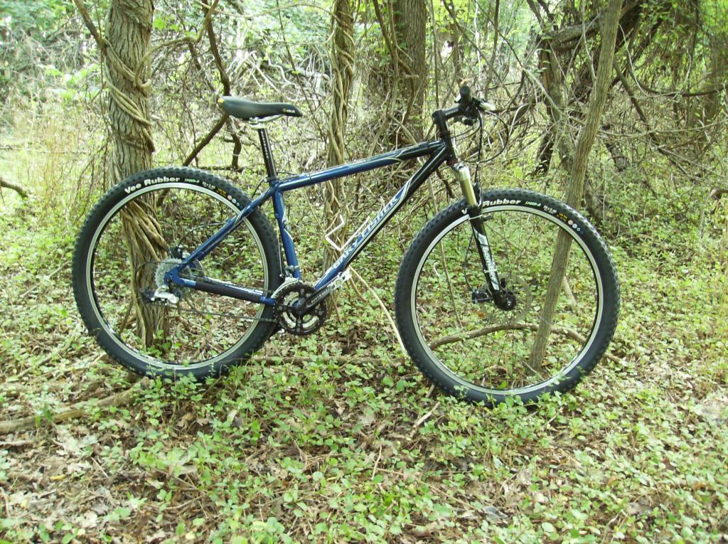 Gary Fisher Paragon: A blue mountain bike leaning against a tree in a forested area, surrounded by green foliage and underbrush.