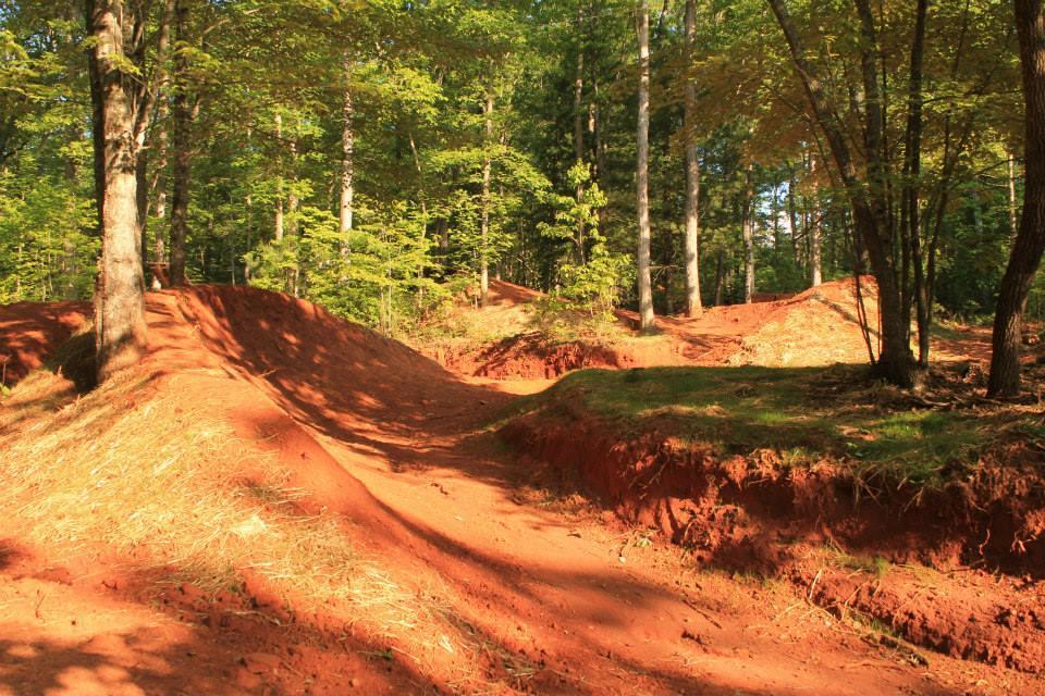 A sunny forest path with red dirt trails and gentle mounds, surrounded by trees and greenery. The trails appear designed for biking or walking, with a natural, earthy landscape. Hilltop Bike Park mountain bike trail.