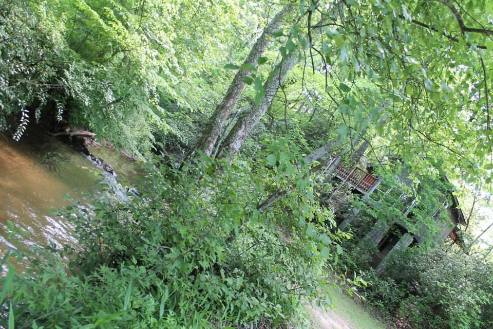 A serene, lush landscape featuring a gently flowing creek bordered by dense greenery and trees. In the background, a cozy structure is partially visible among the foliage, suggesting a secluded retreat in nature. Hilltop Bike Park mountain bike trail.