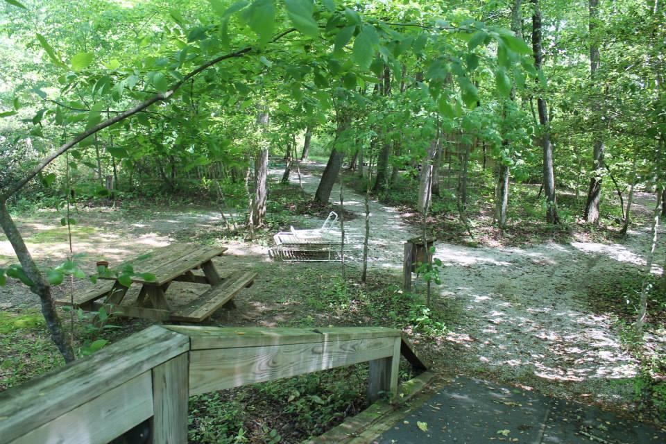 A serene forest scene featuring a gravel path winding through lush greenery. In the foreground, a wooden picnic table is placed on the left, and a vintage metal chair is situated along the path ahead. Sunlight filters through the tree canopy, creating a peaceful atmosphere. Hilltop Bike Park mountain bike trail.