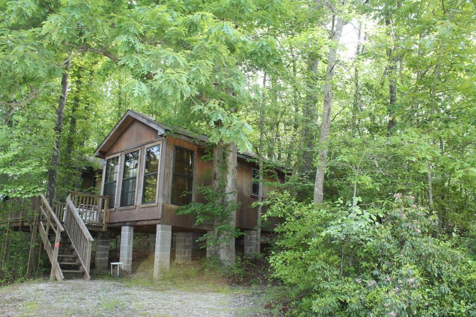 A wooden cabin situated among lush greenery, set on raised blocks with a staircase leading up to a small porch. The cabin features large windows that allow natural light, surrounded by tall trees and thick foliage. Hilltop Bike Park mountain bike trail.
