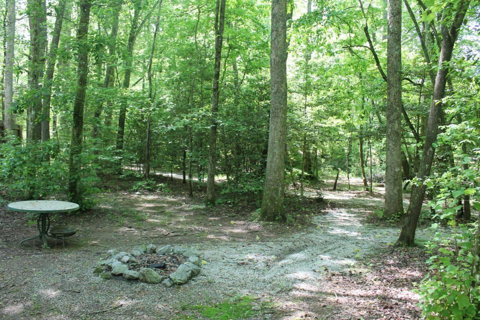 A peaceful forest clearing with lush green trees, featuring a gravel path leading through the woods. In the foreground, there is a round table and a stone circle that suggests a fire pit area, surrounded by vibrant foliage. Hilltop Bike Park mountain bike trail.