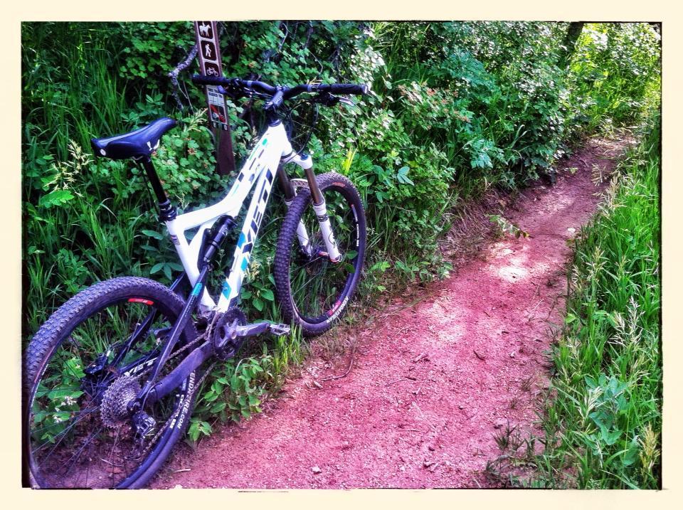 Yeti 575: A mountain bike leaning against a trail sign on a dirt path surrounded by lush greenery and wildflowers. The bike features a white and blue design, with prominent tires suited for rugged terrain. The path is narrow and winding, leading deeper into the natural landscape.
