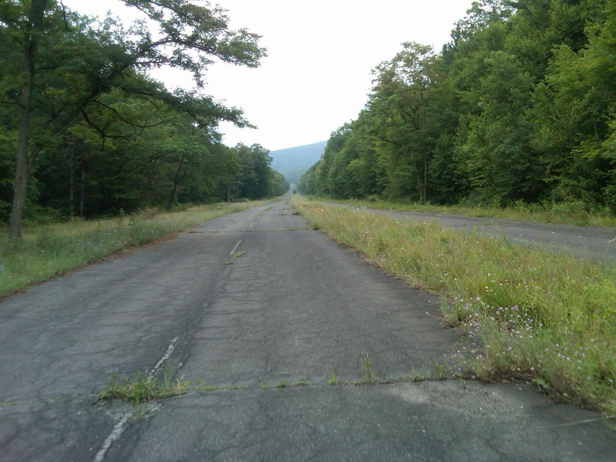 An overgrown, abandoned roadway surrounded by trees and dense vegetation, extending into the distance towards a mountainous horizon under a cloudy sky. The pavement shows signs of aging with cracks and patches of grass and wildflowers growing through it. Pike 2 Bike mountain bike trail.