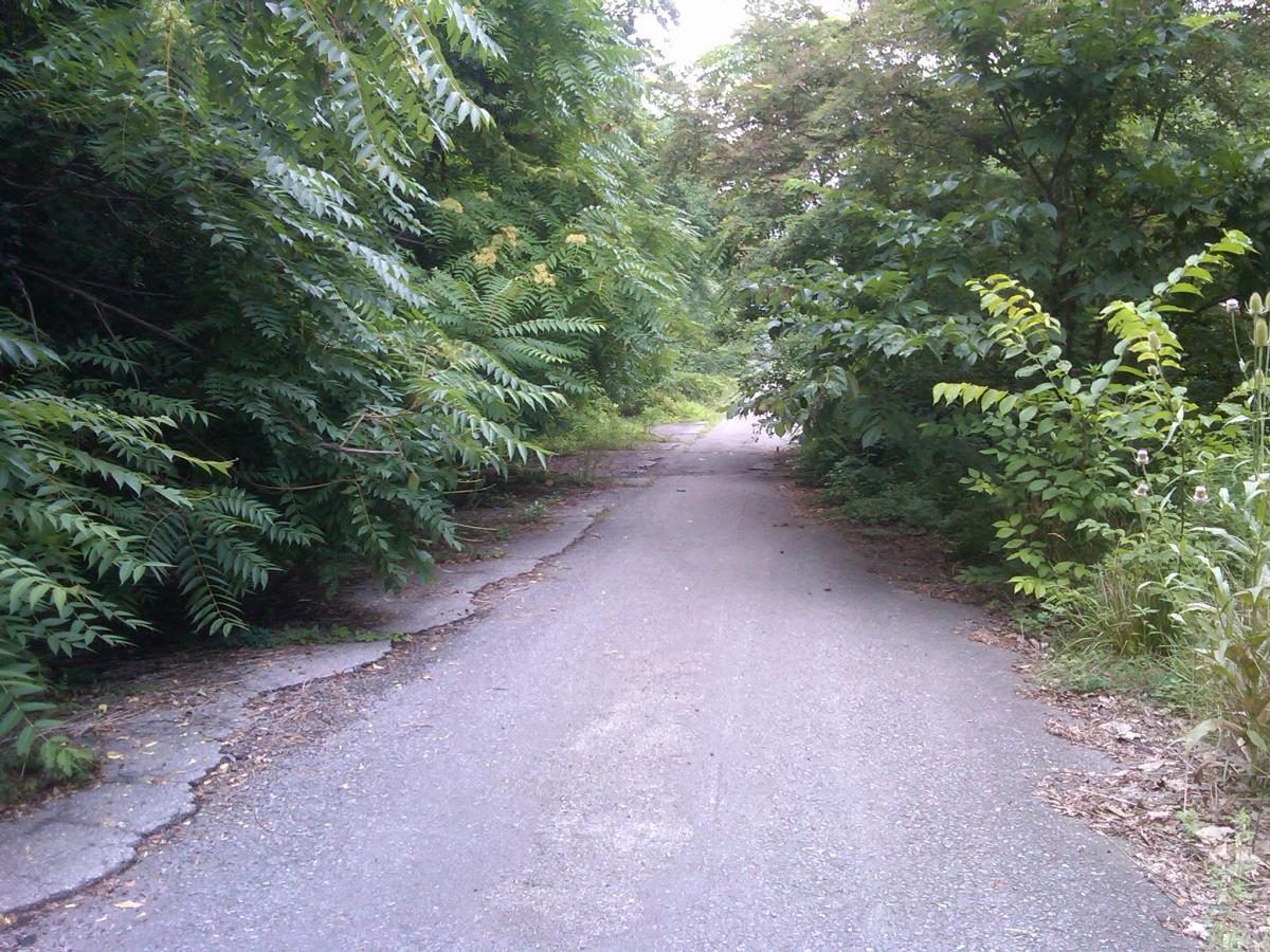 A narrow, overgrown pathway surrounded by lush green foliage and trees, leading into the distance. The pavement shows signs of wear and cracks, suggesting it is an abandoned or rarely used road. Natural light filters through the leaves, creating a serene and secluded atmosphere. Pike 2 Bike mountain bike trail.