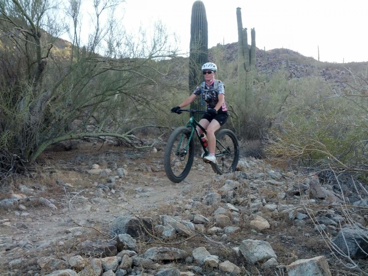 Surly Krampus: A young cyclist riding a mountain bike on a rocky trail surrounded by desert vegetation, including cacti and shrubs. The cyclist is wearing a helmet and a colorful cycling jersey. The background features a hilly landscape under a clear sky.