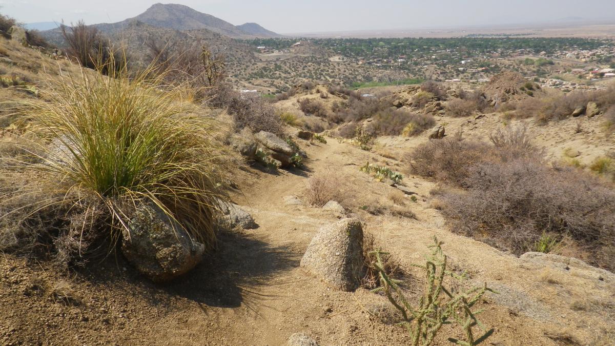 A landscape view showing a winding dirt path leading down a hillside, surrounded by dry grass, rocks, and sparse vegetation. In the background, there are rolling hills and a small town nestled in a valley, with a clear blue sky overhead. South Foothills mountain bike trail.