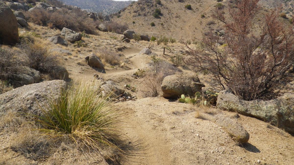 A rugged, desert trail winding through rocky terrain with sparse vegetation, including dry grass, bushes, and cacti. The landscape features large boulders and gentle slopes, set against a backdrop of distant hills under a clear sky. Foothills mountain bike trail.