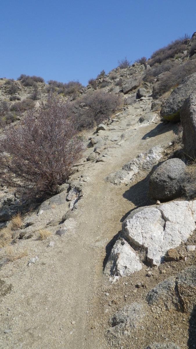 A rugged hiking trail winding through rocky terrain, bordered by sparse vegetation and a clear blue sky overhead. The path is uneven with scattered stones and dry brush on either side. South Foothills mountain bike trail.