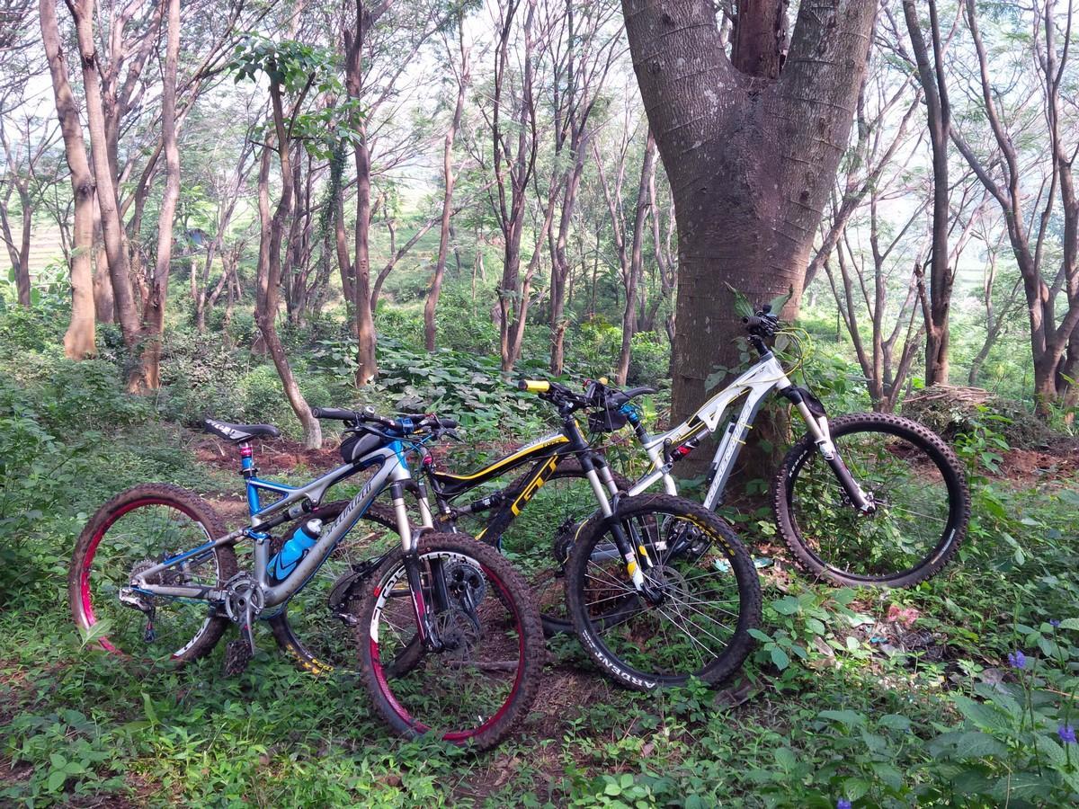 Specialized Stumpjumper FSR Pro Carbon: Three mountain bikes leaned against a large tree in a lush, green forest. The surroundings are filled with tall, slender trees and dense foliage, suggesting a tranquil outdoor setting ideal for biking. The bikes are positioned closely together, showcasing their varied designs and colors.