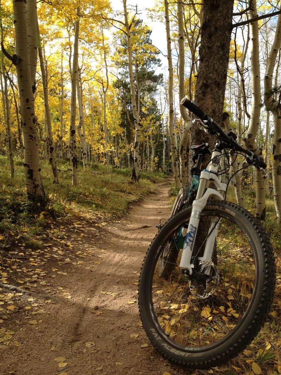 Yeti AS-R (Alloy): A mountain bike resting against a tree on a sandy trail surrounded by tall aspen trees with yellow leaves. Sunlight filters through the foliage, creating a serene autumn atmosphere. The trail is lined with fallen leaves, indicating the season.