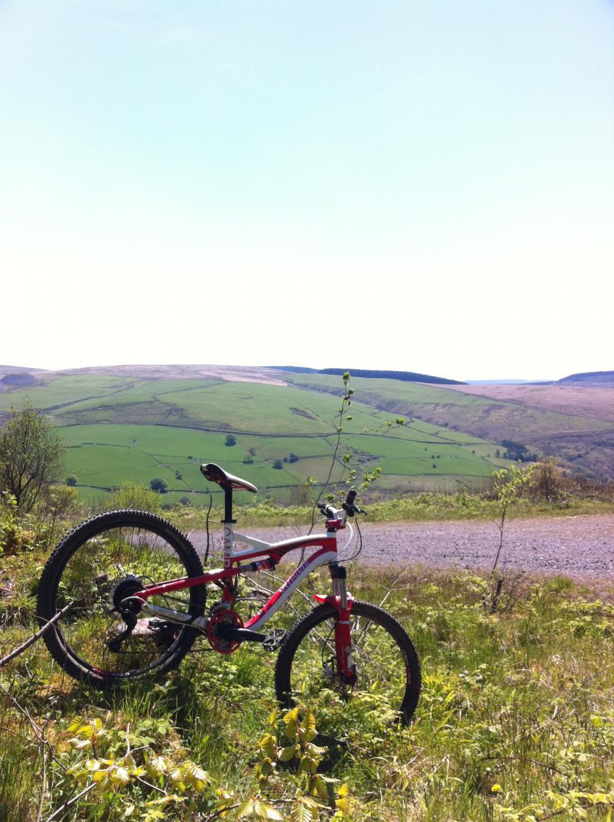 Specialized Camber: A red mountain bike leaning against a grassy hillside, with a scenic view of rolling green fields and distant hills under a clear blue sky.
