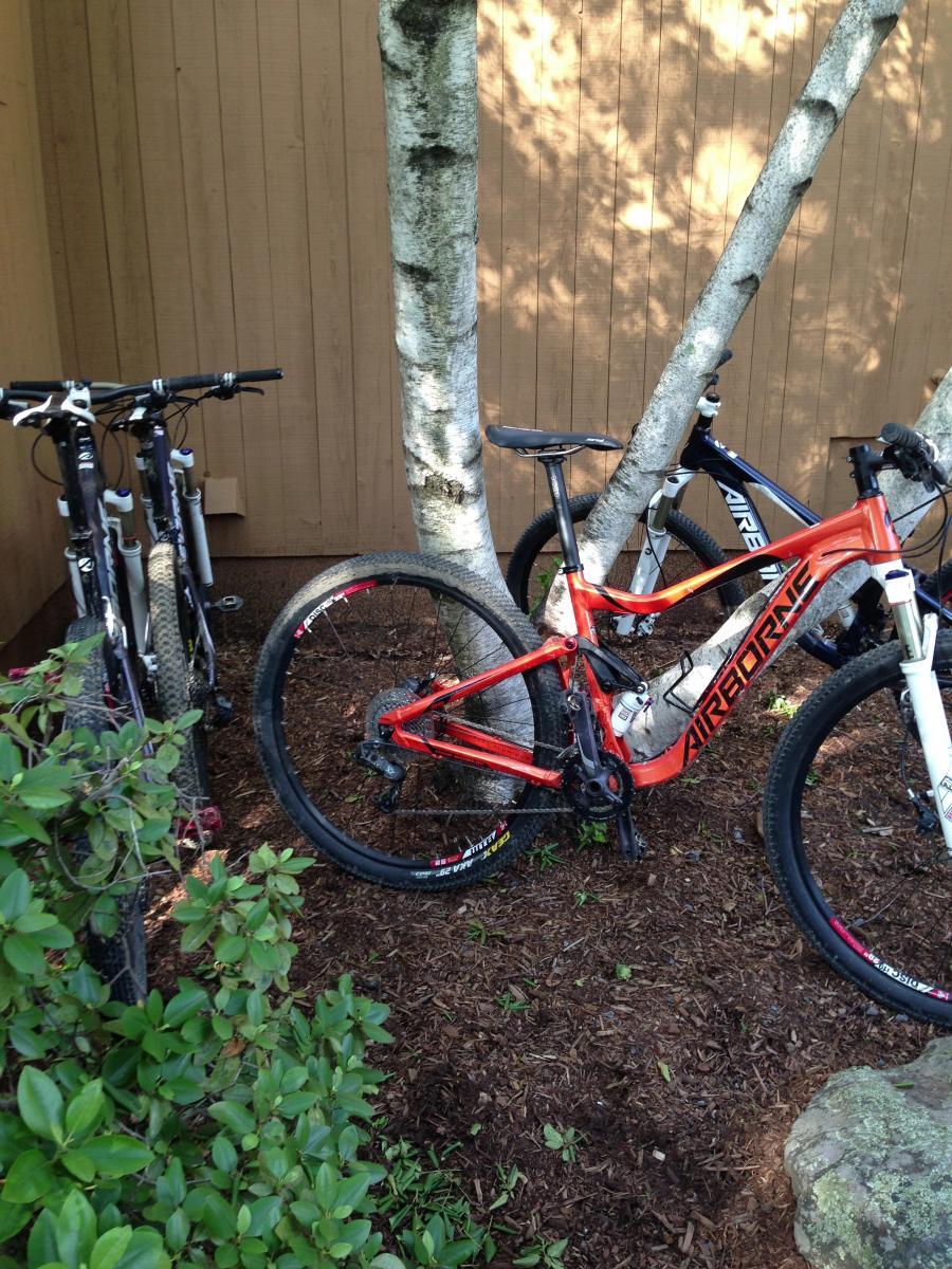 Airborne Hobgoblin: Three bicycles are parked next to a tree in a shaded area. The bicycles include a prominently displayed orange mountain bike, with two additional bikes in the background. Surrounding the bikes is a layer of mulch and some green foliage, with a wooden wall behind them.
