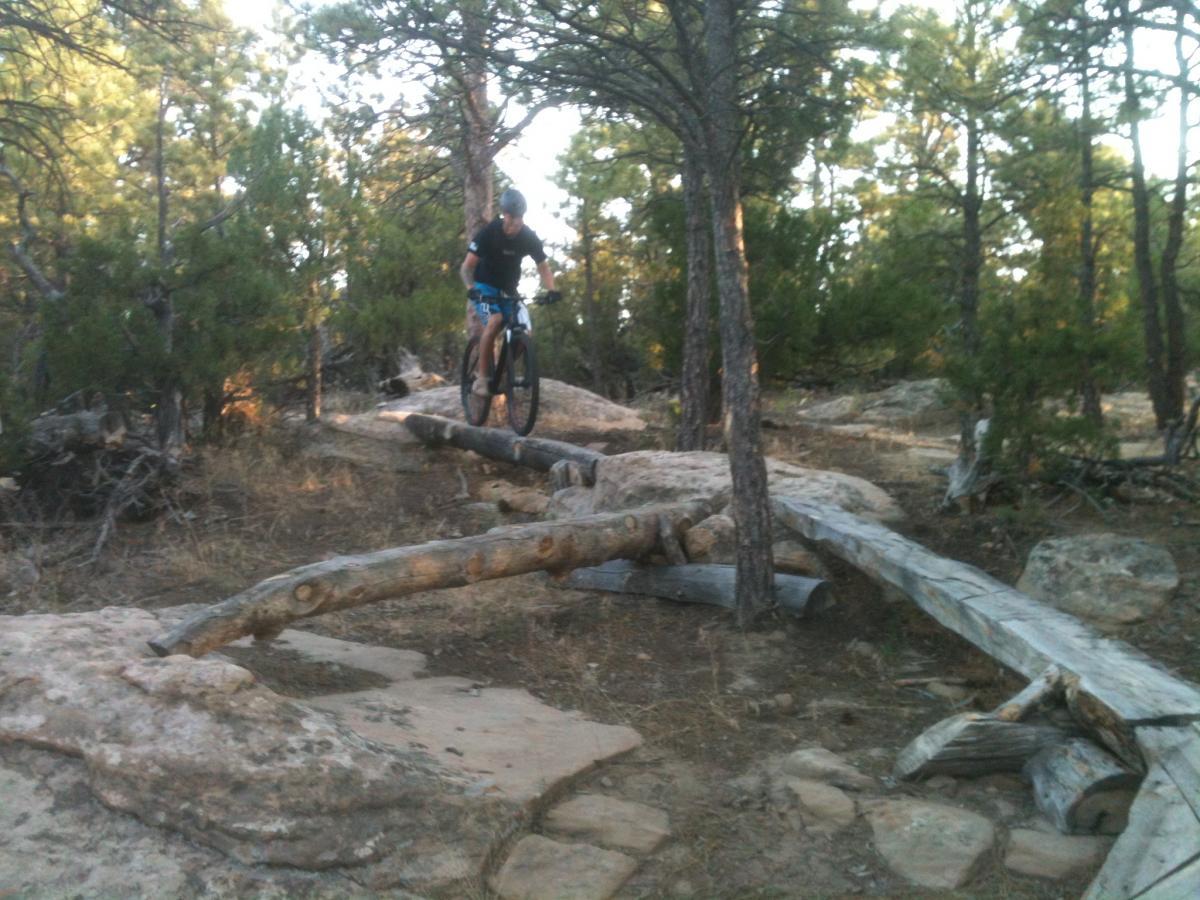 A mountain biker navigating a rocky trail in a forested area, with trees and natural obstacles surrounding the path. The biker is mid-jump over a log placed across the trail. Glendo State Park mountain bike trail.