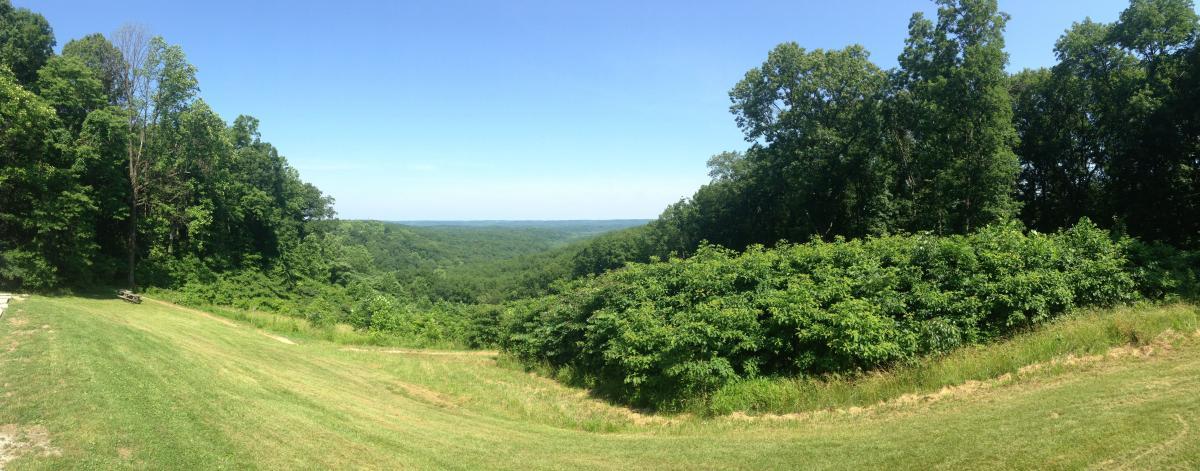 A panoramic view of a lush green landscape featuring rolling hills, dense forests, and a clear blue sky. The foreground includes a grassy area leading towards the tree line, showcasing the vibrant greenery typical of natural scenery. Brown County Park mountain bike trail.