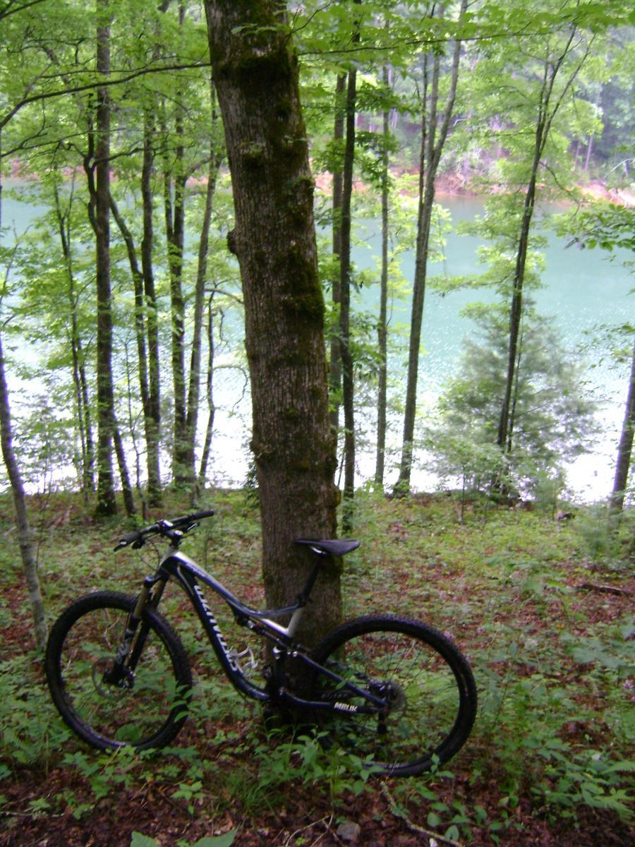 A mountain bike leaning against a tree in a lush, green forest near a calm lake. The background features tall trees and foliage surrounding the water. Tsali Thompson Loop mountain bike trail.
