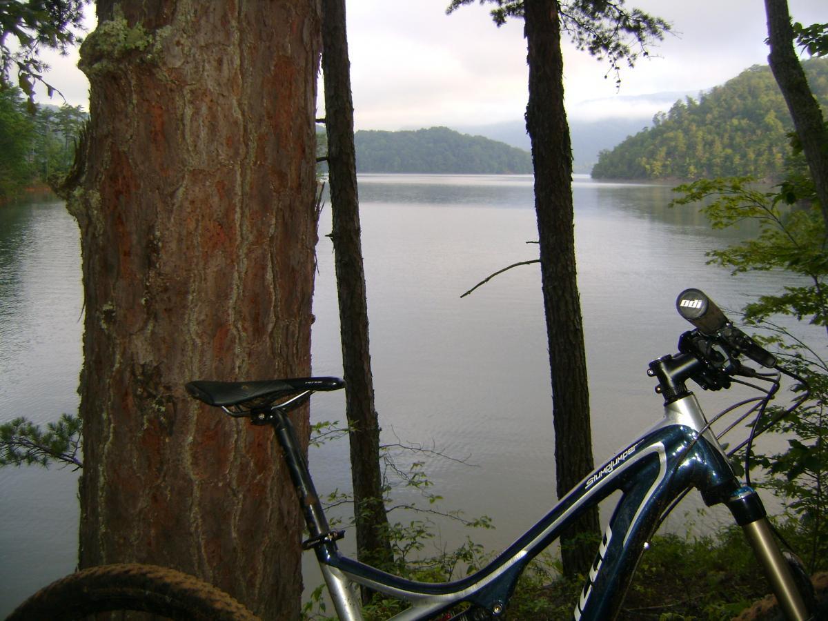 A scenic view of a calm lake surrounded by lush greenery, with a close-up of a mountain bike leaning against a tree in the foreground. The water reflects the trees and hills, creating a serene atmosphere. Tsali Left Loop mountain bike trail.