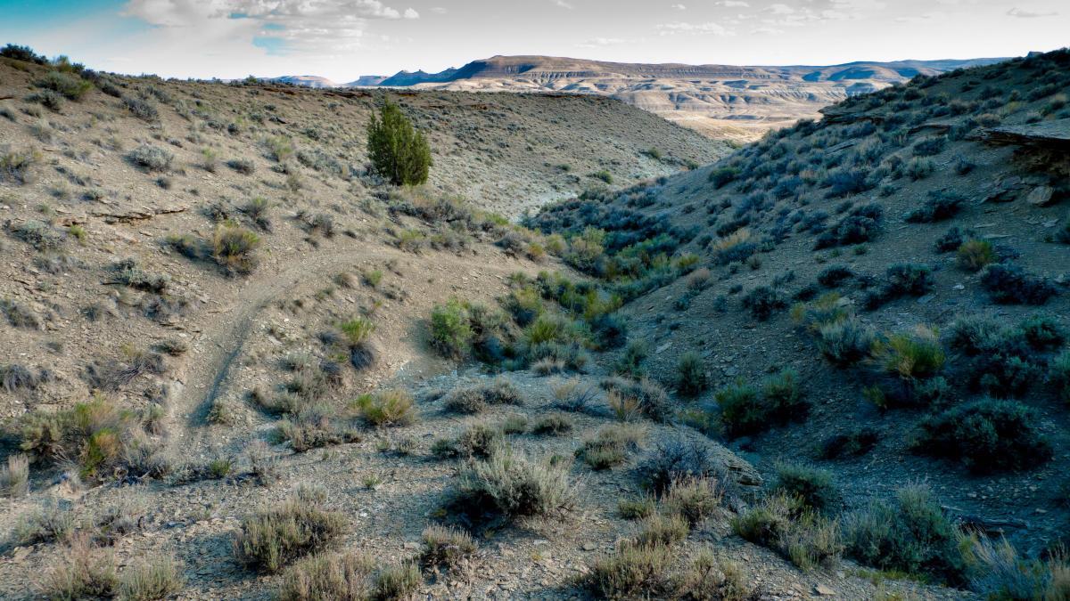 A rocky landscape featuring a winding path through hilly terrain, scattered with sparse shrubs and vegetation. In the distance, rolling hills and a clear sky are visible, creating a serene and natural environment. Uncle Ricos mountain bike trail.