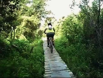 A mountain biker riding on a narrow wooden boardwalk through a lush green forest. Loyce E. Harpe Park mountain bike trail.