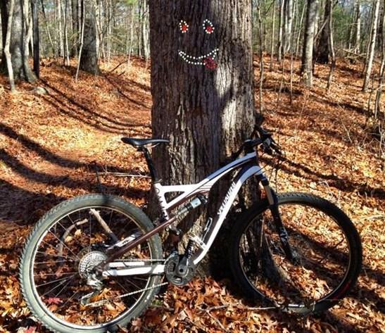 Specialized Camber 29: A mountain bike leaning against a tree in a wooded area covered with autumn leaves. The tree has a playful smiley face painted on it, with bright red cheeks and eyes. Sunlight filters through the trees, creating a warm and inviting atmosphere.