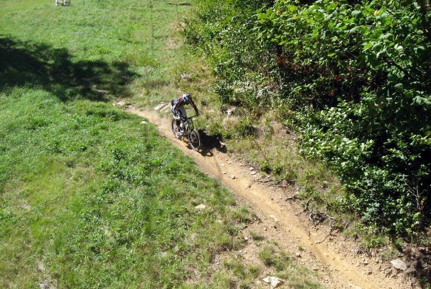 A mountain biker navigating a dirt trail through green grass and shrubs on a sunny day. Sugar Mountain Resort mountain bike trail.