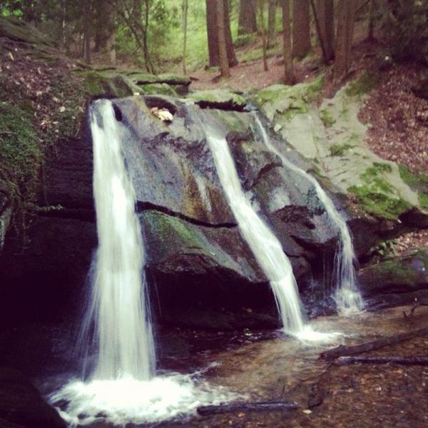 A serene waterfall cascading over a moss-covered rock formation in a lush, green forest. The water flows gently into a shallow stream below, surrounded by trees and natural vegetation. Bull / Jake Mountain mountain bike trail.
