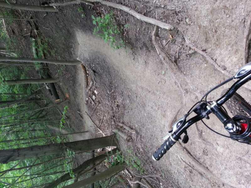 Alt text: A mountain bike is positioned on a narrow, winding dirt trail through a lush green forest. The trail is surrounded by trees and features visible roots and uneven terrain. Don Valley mountain bike trail.