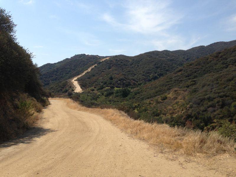 A winding dirt road leads through a hilly landscape, surrounded by lush green vegetation and dry grass under a clear blue sky. The road ascends into the hills, creating a sense of adventure and exploration in a natural setting. La Tuna Canyon mountain bike trail.