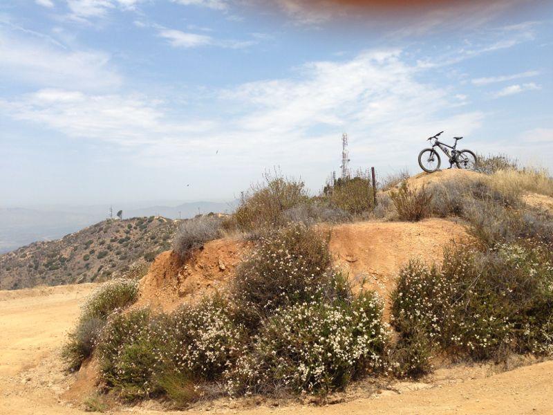 A mountain bike resting on a dirt hill surrounded by sparse vegetation and wildflowers, with a scenic view of rolling hills and a cloudy sky in the background. A communications tower is visible in the distance. La Tuna Canyon mountain bike trail.