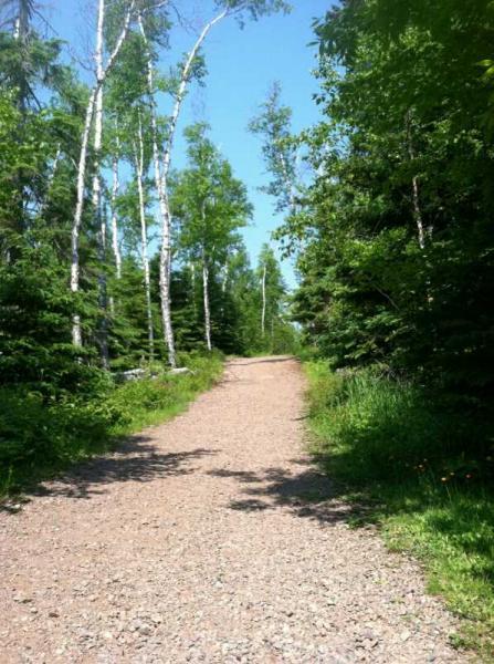 A scenic gravel path lined with green foliage and tall trees, leading into a sunny forest. Split Rock Light House State Park mountain bike trail.