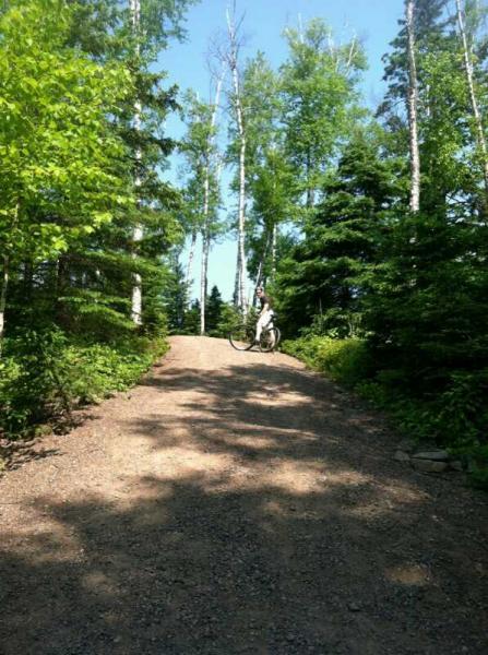 A person riding a bicycle up a gravel path surrounded by lush green trees and bright sunlight on a clear day. Split Rock Light House State Park mountain bike trail.