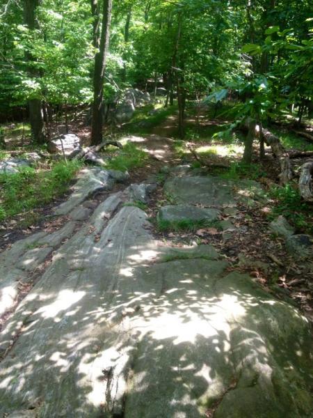 A rocky trail winding through a forest, surrounded by lush green trees and foliage. The path is slightly shaded, with sunlight filtering through the leaves, creating a serene and natural atmosphere. Sprain Ridge mountain bike trail.