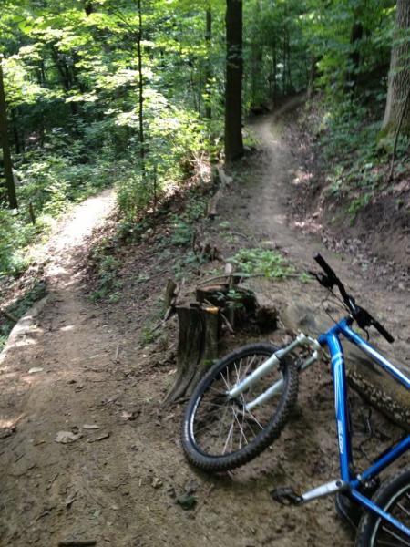 A mountain bike rests on the ground near a tree stump, with a forested trail visible in the background. The scene depicts a sunny day in a wooded area, showcasing a winding path that diverges off to the left and continues onwards to the right. Lush greenery surrounds the trails, indicating a serene outdoor setting. Kickapoo mountain bike trail.