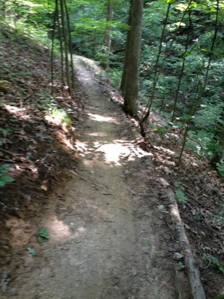A dirt trail winding through a lush green forest, bordered by trees and scattered leaves. Sunlight filters through the foliage, creating dappled patterns on the path. Kickapoo mountain bike trail.