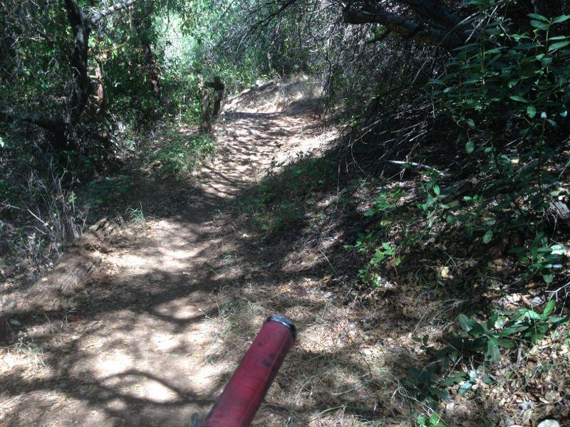 A narrow dirt trail winding through a wooded area, surrounded by greenery and dappled sunlight. A red item, possibly part of a bicycle, is partially visible in the foreground. Foresthill Divide mountain bike trail.