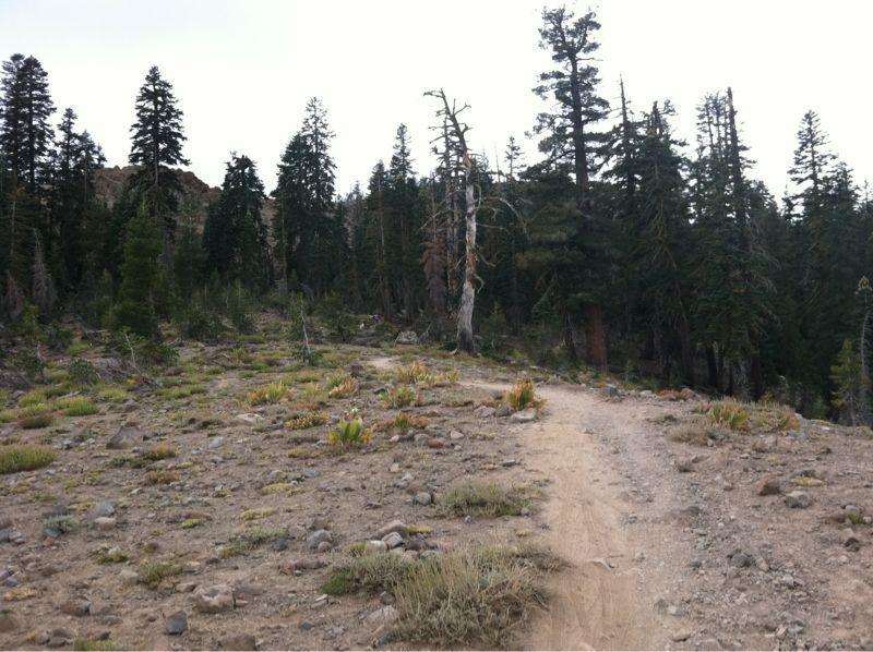 A winding dirt path leads through a landscape of sparse vegetation and rocky terrain, surrounded by tall evergreen trees. A few patches of grass and small bushes are visible, and the sky is overcast, creating a serene, natural setting. Hole In The Ground mountain bike trail.