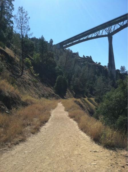 A dirt path winding through a grassy area with trees on both sides, leading towards a large bridge overhead against a clear blue sky. Clementine Loop mountain bike trail.
