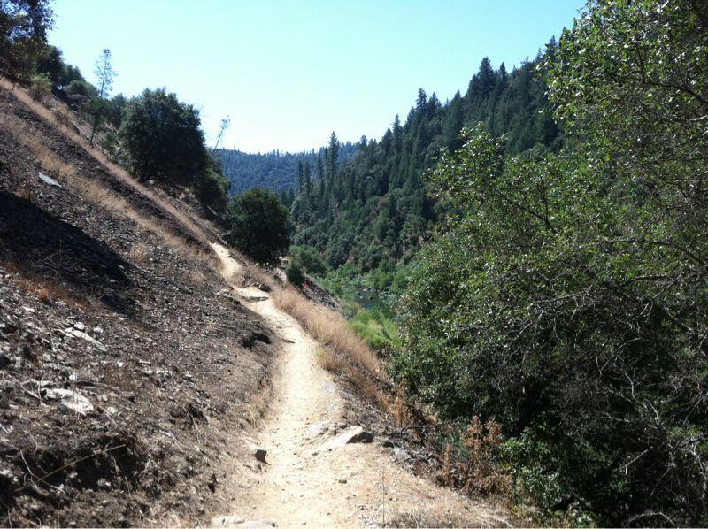 Clementine Loop Photos