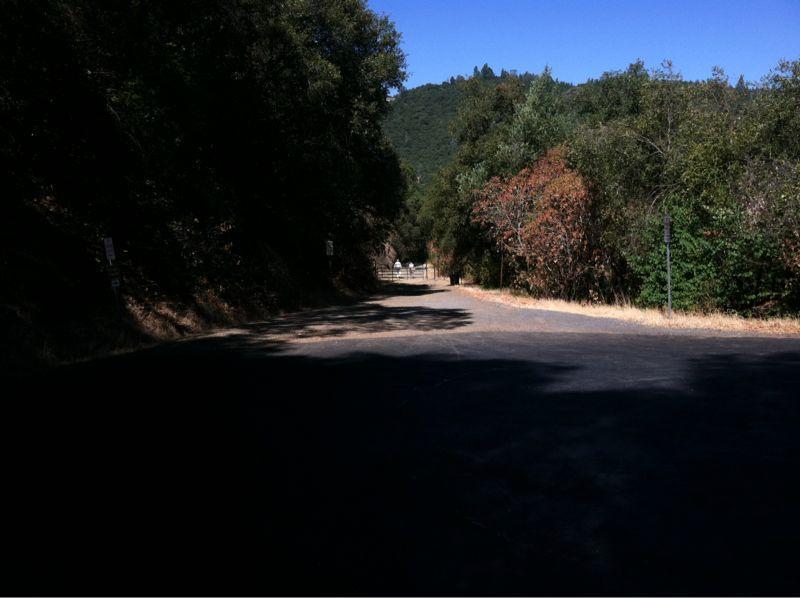 A view of a winding road surrounded by trees, with patches of sunlight and shade. The road leads towards a distant gate, set against a backdrop of green hills and blue sky. The scene captures a tranquil outdoor setting in nature. Clementine Loop mountain bike trail.