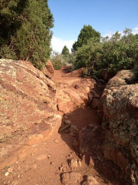A rocky hiking trail winding through a natural landscape, flanked by green vegetation and shrubs under a clear blue sky. The path is uneven, with large rocks and reddish soil visible. Red Rocks / Dakota Ridge mountain bike trail.