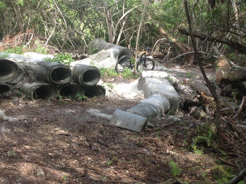 An overgrown area in a wooded environment featuring several large concrete pipes stacked on the ground. In the background, a bicycle is partially visible near the pipes, surrounded by dense brush and fallen branches. The scene is illuminated by soft, dappled sunlight filtering through the trees. West Delray Regional Park mountain bike trail.