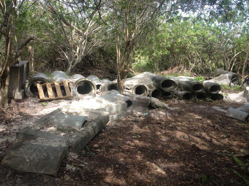 A dense area of overgrown vegetation featuring discarded concrete pipes and structures scattered on the forest floor. Sunlight filters through the trees, illuminating the remnants of construction materials among the natural surroundings. West Delray Regional Park mountain bike trail.