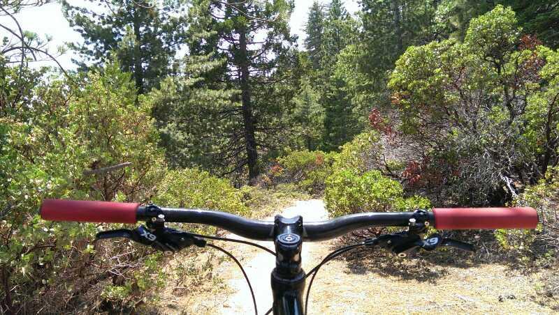A view from the handlebars of a mountain bike, showcasing a winding dirt path surrounded by lush greenery and tall trees, suggesting a scenic outdoor biking adventure. Portuguese Pass mountain bike trail.