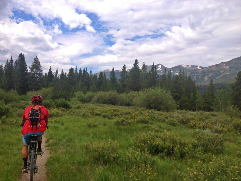 A mountain biker in a red shirt rides on a narrow path surrounded by lush green grass and shrubs, with pine trees in the background and snow-capped mountains under a partly cloudy sky. Flume Loop mountain bike trail.