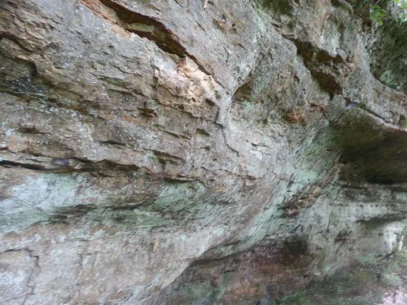 A close-up view of a rugged rock surface featuring various textures and colors, with patches of moss and moss-covered areas, set in a natural environment. Ferdinand Forest mountain bike trail.
