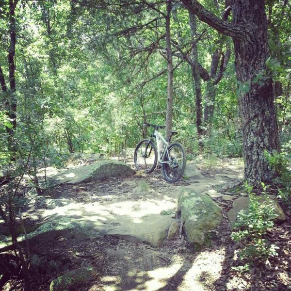 A mountain bike leaning against a tree, surrounded by lush green foliage and rocky terrain in a wooded area. Raccoon Mountain Trail Network mountain bike trail.