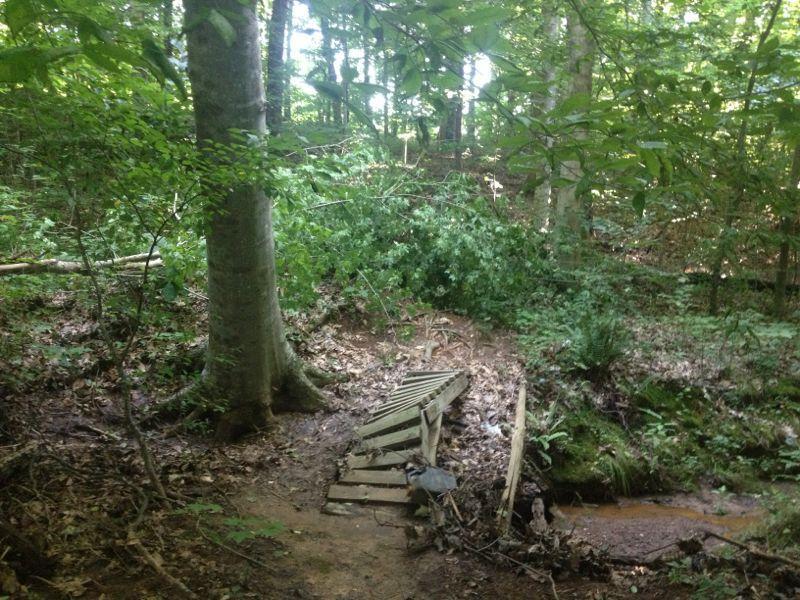 A small wooden bridge over a stream in a lush forest. Surrounding the area are tall trees and dense greenery, with some fallen branches and leaves scattered on the ground. Finch Park mountain bike trail.