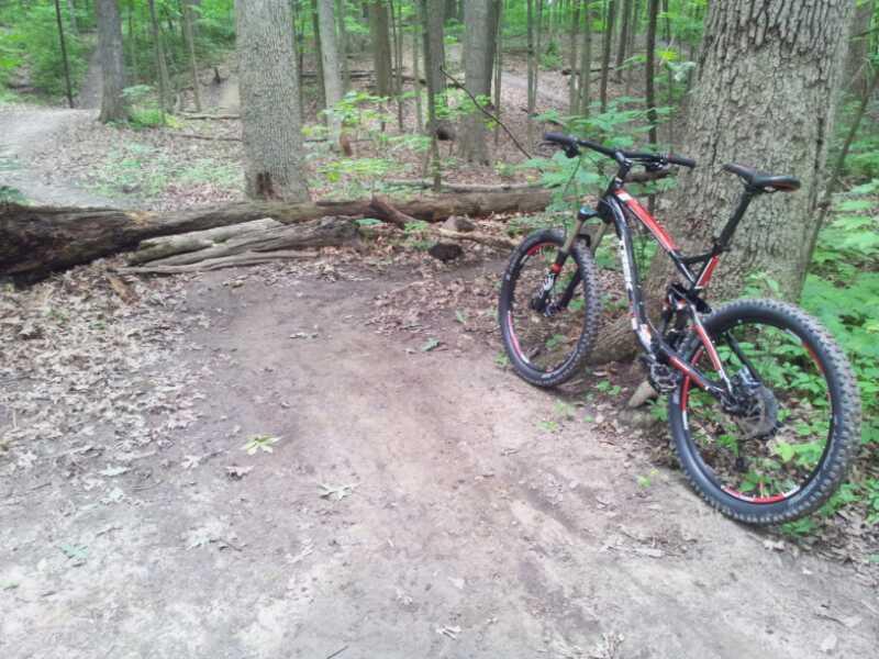 A mountain bike resting beside a dirt path in a lush, green forest. In the background, there are trees and a fallen log across the trail, surrounded by fallen leaves and underbrush. Franke Park mountain bike trail.