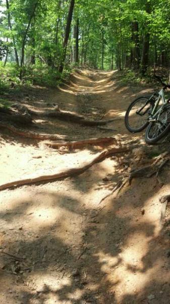 A dirt biking trail surrounded by lush greenery, featuring a winding path with visible roots and a bicycle leaning against a tree. The sun filters through the tree canopy, casting dappled shadows on the ground. Lake Fairfax mountain bike trail.